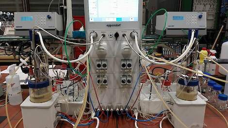 Op de foto zie je de reactoren waarin de producten door bacteriën aangemaakt worden.