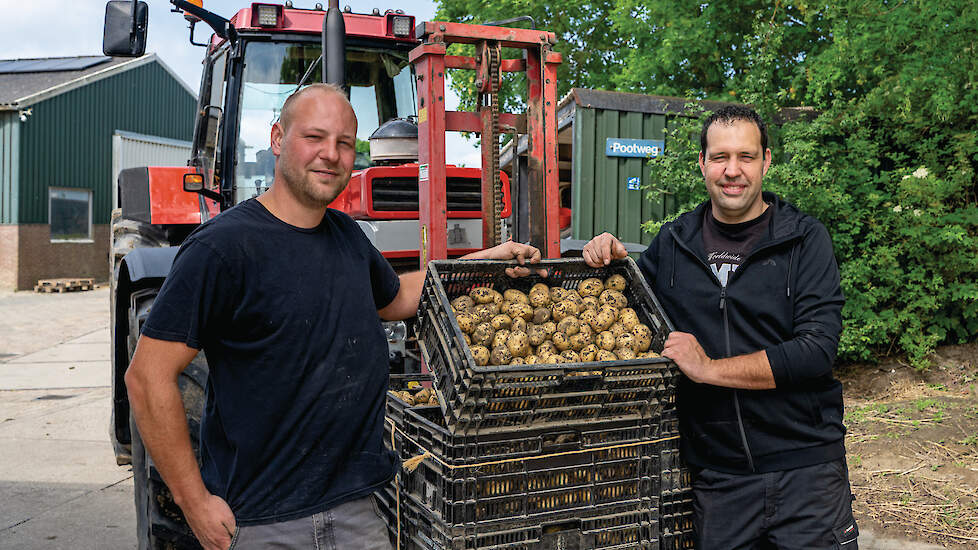 Michel (links) en broer Pieter Poot blijven de primeuraardappelteelt trouw. Vooral het sociale karakter spreekt ze aan. Daarnaast zijn ze over het rendement goed te spreken.