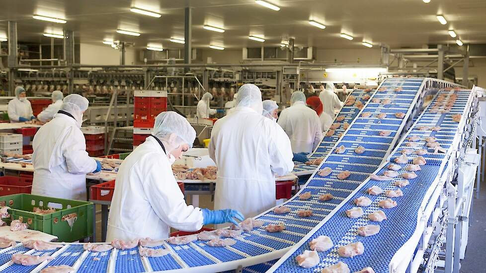 Nepluvi heeft genoeg van stemmingmakerij en in de nieuwe cao weer nieuwe afspraken gemaakt om de positie van arbeidsmigranten verder te verbeteren.