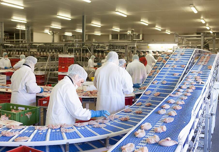 Nepluvi heeft genoeg van stemmingmakerij en in de nieuwe cao weer nieuwe afspraken gemaakt om de positie van arbeidsmigranten verder te verbeteren.