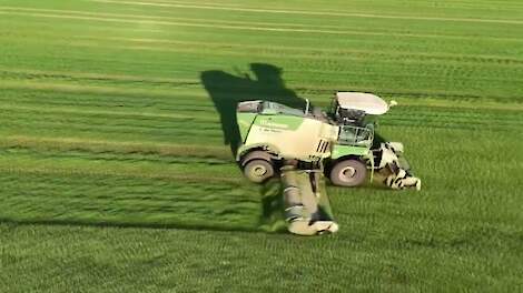 Krone Big M 450 aan het grasmaaien