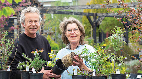 Evert en Sandra Schouten telen een breed assortiment biologische kruiden.