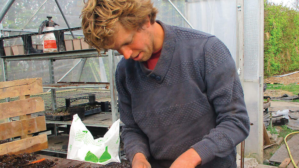 Julian Langelaan teelt zomerbloemen op het akkerbouwbedrijf van Jan Knook