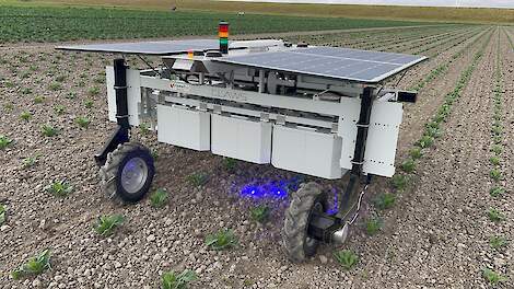 Earth Rover