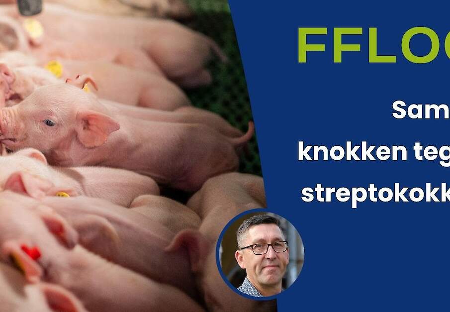 Samen knokken tegen streptokokken: zo doen we dat!