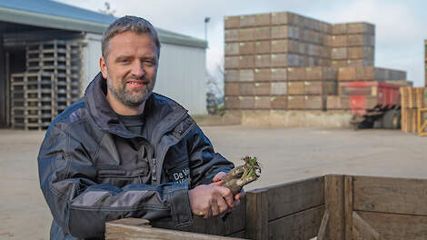 Gerwin de Vries van De Vries Witlof uit Espel doet proeven met compost voor een betere opkomst.