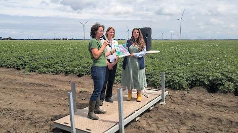 Vlnr Tess van de Voorde (WUR), Erna van der Wal (BO Akkerbouw) en Maria-Franca Dekkers (WUR) bij de opening van de Groenbemesterdag.