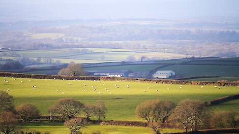 Het platteland van het graafschap Devon. Het aantal melkveehouders in Groot-Brittannië loopt terug, maar ze produceren gemiddeld per bedrijf wel meer melk.