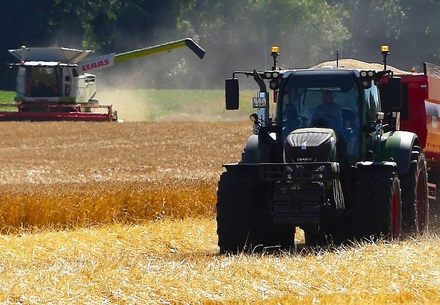 Wintergerst combinen met Handels- en Loonbedrijf Kuper B.V.
