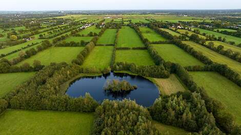 Karakteristiek coulisselandschap van de Noardlike Fryske Wâlden met houtsingels, houtwallen en een rijk habitat voor diverse soorten vogels en vleermuizen.