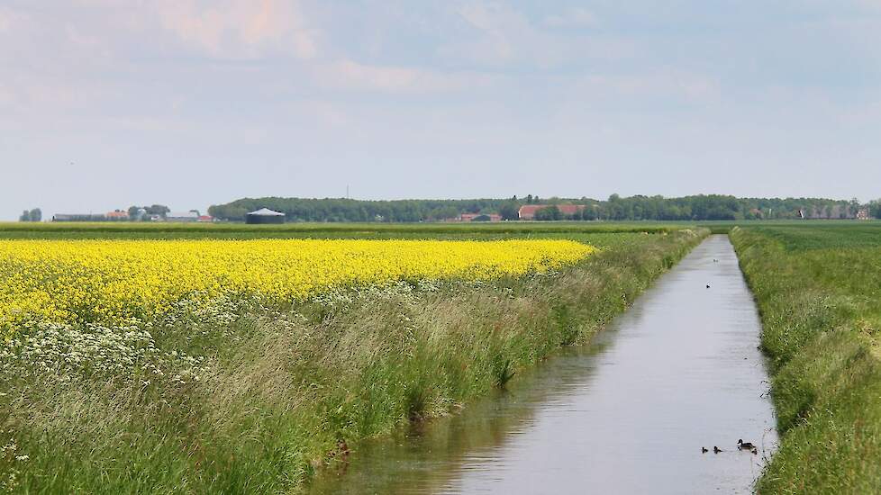 Beeld ter illustratie