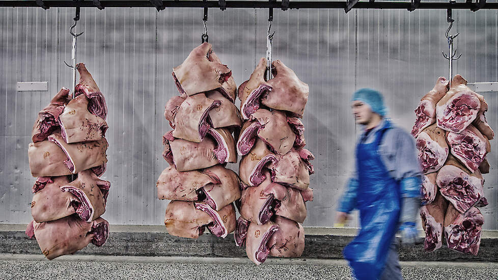 (foto ter illustratie)