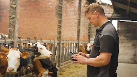 Philip Acke in zijn stal op de CowManager app