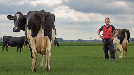 Gerwin Palland past het Nieuw Nederlands Weiden toe.
