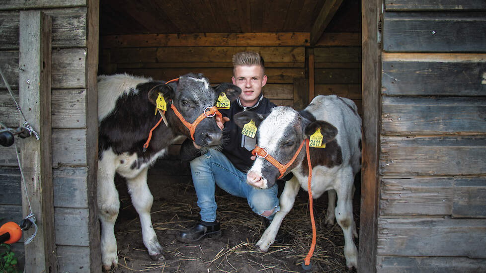 Jordy mest op jaarbasis tussen de tien en dertig Belgisch Blauwe-kruisingen af.