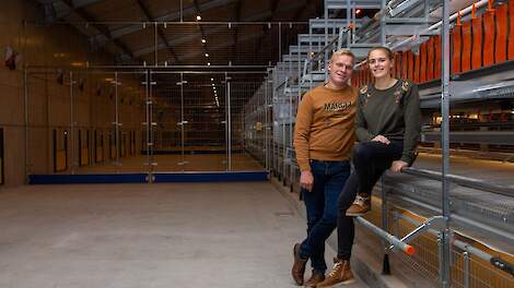 Michiel Patyn en zijn vriendin Laura Claeys bouwden twee jaar geleden een nieuwe stal voor 15.000 biologische leghennen in Evergem, in de Vlaamse provincie Oost-Vlaanderen.
