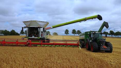 Twee maal Claas Lexion 8800 in de gerst