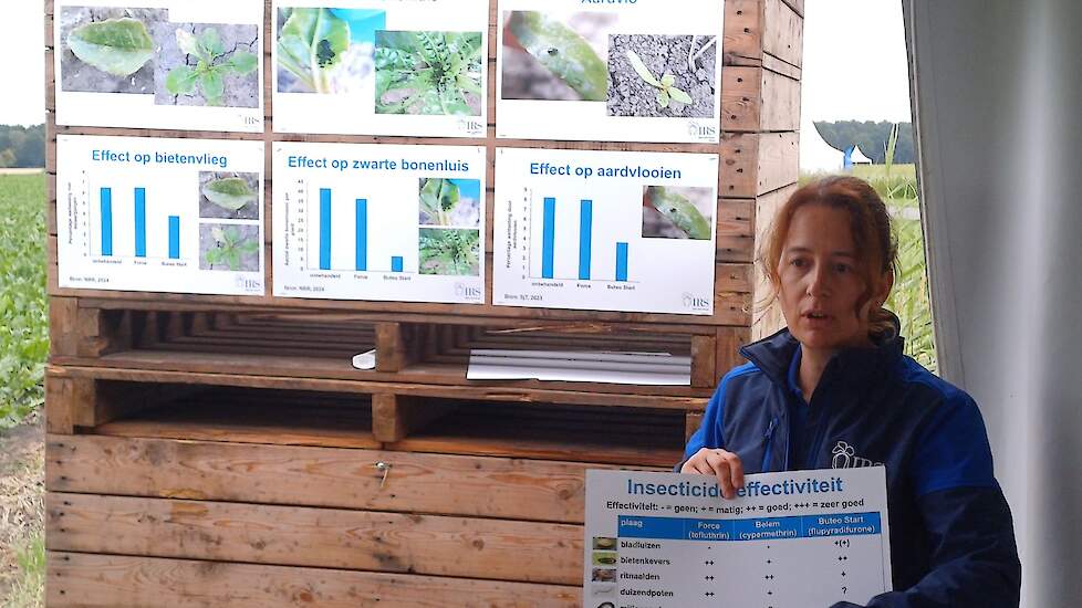 IRS-onderzoeker Elma Raaijmakers gaf telers tijdens de Praktijkdag BIET Kennis bij Proefboerderij Valthermond een inkijkje in de resultaten die zijn behaald met de nieuwe zaadbehandeling