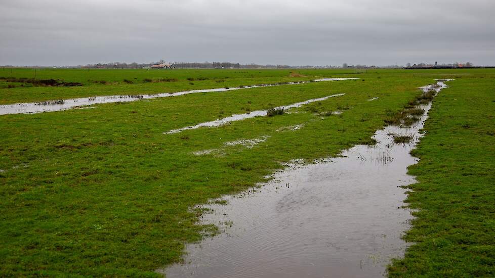 Greppelland voor weidevogels. Beeld ter illustratie.