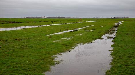 Greppelland voor weidevogels. Beeld ter illustratie.