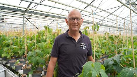 Arie Oppelaar is veredelaar bij Bayer Vegetables