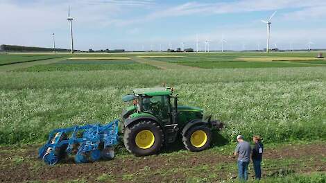 Lemken Rubin 10 onderweg in verschillende groenbemesters