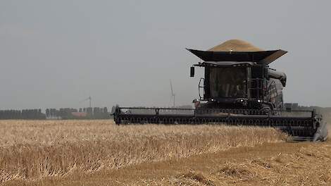 De eerste Massey Ferguson IDEAL 7 combine in actie in Nederland