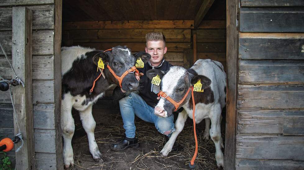 Jordy van der Veen mest op jaarbasis tussen de tien en dertig Belgisch Blauwe-kruisingen af.