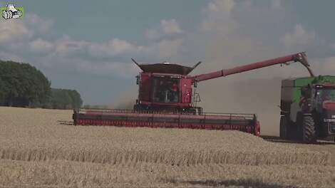 Case IH  7250, 8250 en 9250 Axial Flow maaidorsers