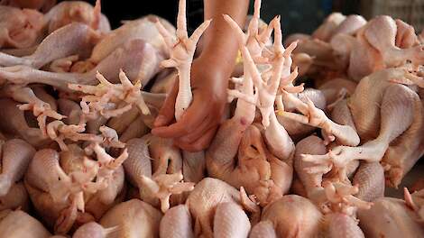 De vraag naar kip in de foodservice- of cateringsector groeit in China. Beeld ter illustratie.