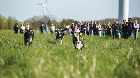 Burgers en boeren op Oosterwold
