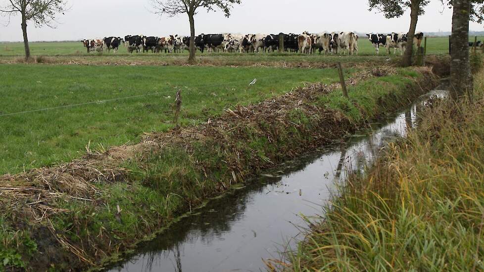 Beeld ter illustratie. Dit is niet de sloot van de melkvee- en varkenshouder.
