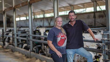 Anna en Johan Jacobs in de stal met de rosékalveren op de achtergrond.