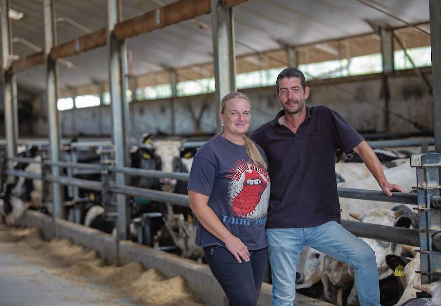 Anna en Johan Jacobs in de stal met de rosékalveren op de achtergrond.
