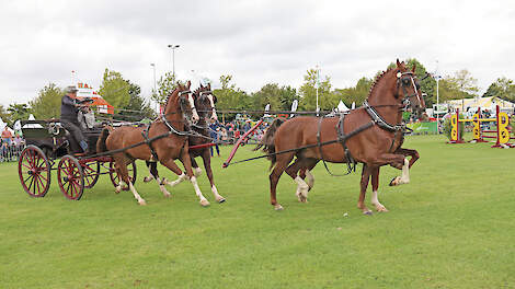 Derk Jan Mekkes won met zijn vierspan het nationale kampioenschap tijden de Landbouwshow.