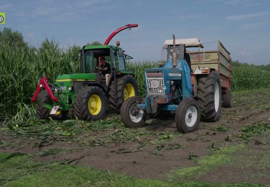 Eerste snijmaïs geoogst bij Historischer Feldtag Nordhorn 2025