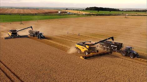 New !!  New Holland CR11-maaidorser  en New Holland CR10 combine in actie