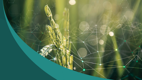 Efficiënt en datagedreven werken