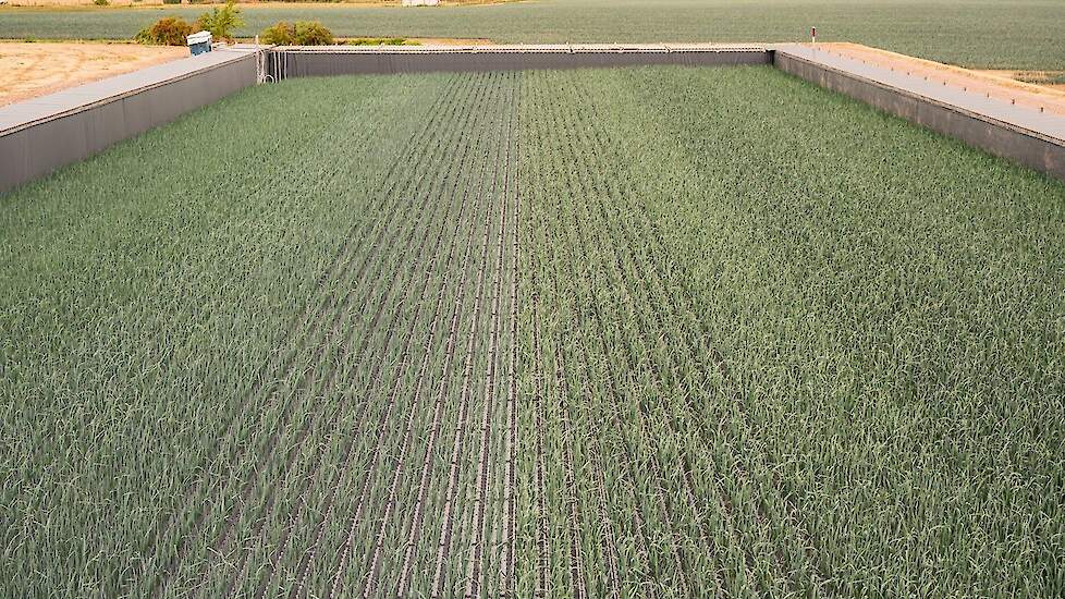 Het productiebassin van drieduizend kubieke meter op het landbouwbedrijf van de familie Boudry in Ieper.