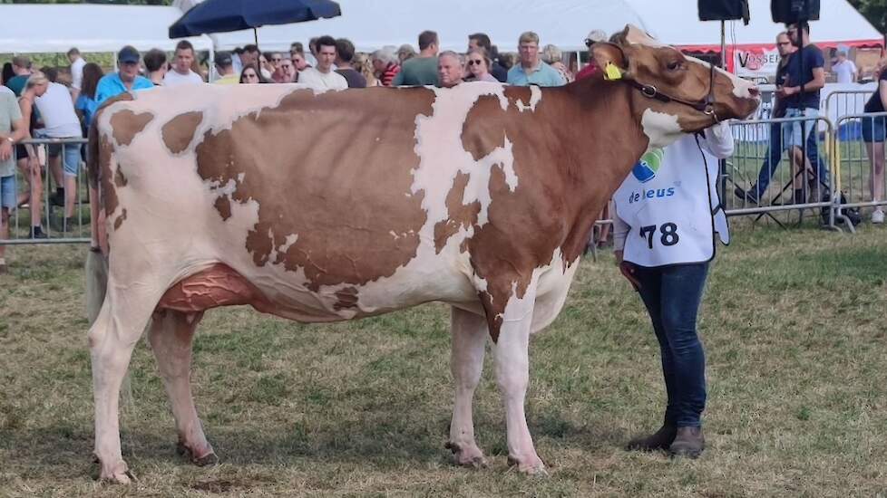 Bossink Joke 78 is Lady Agrifair 2025.