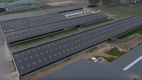 Bovenaanzicht van het bedrijf in Vredepeel.