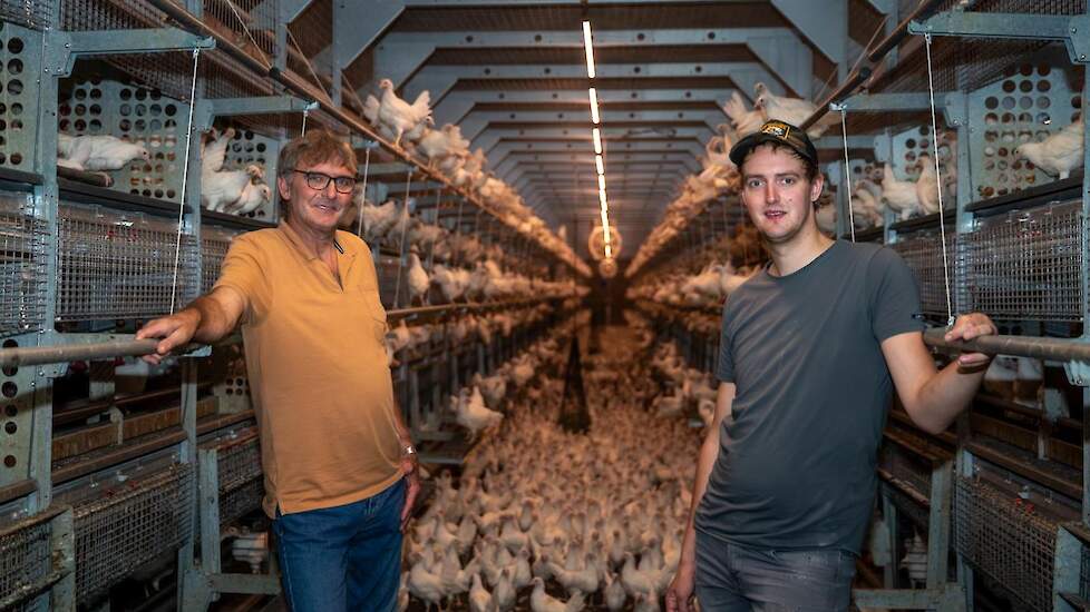 Gert-Jan van ’t Foort (rechts) verzorgt samen met zijn vader Thijs (links) de opfokhennen.