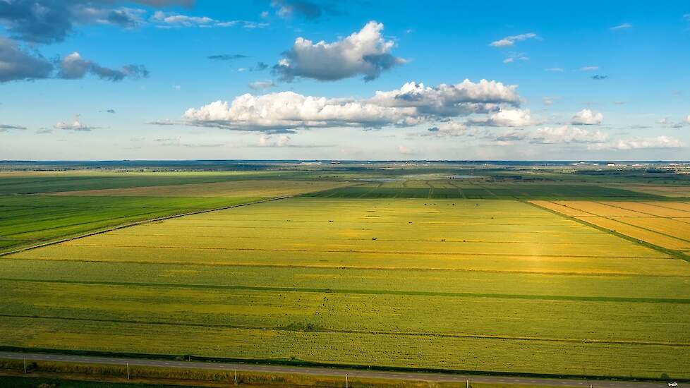 foto weilanden bovenaanzicht