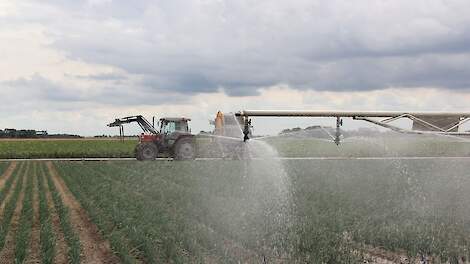 Proeven met zoet en zilt water op Proefboerderij Rusthoeve in Colijnsplaat. Beeld ter illustratie.