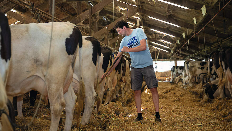 Harmen Endendijk: „De grupstal heeft voordelen voor dierenwelzijn. Koeien hebben geen stress, omdat ze elkaar niet kunnen belagen.”