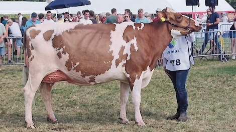 Bossink Joke 78 van Van der Kolk werd uitgeroepen tot algemeen kampioene en kreeg daarmee de titel Lady Agrifair.