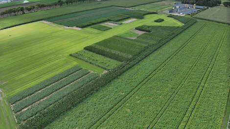 De organisatie van de Agrarische Dagen Someren verwacht 10.000 tot 12.000 bezoekers.