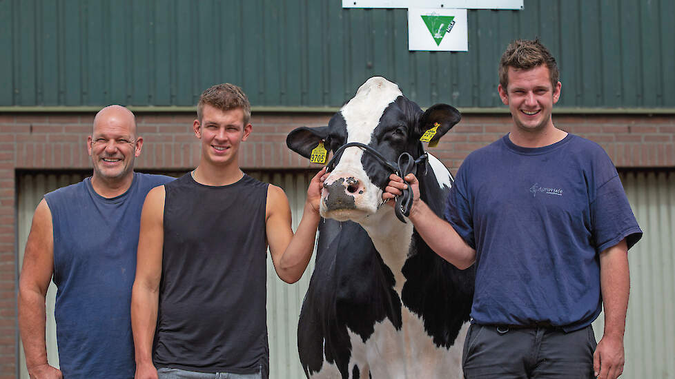 Marcel, Finn en Matt van der Eijk (v.l.n.r.) wonnen met Carmen 5 alle Noord-Hollandse prijzen op de melkveekeuringen.