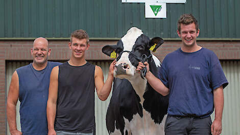 Marcel, Finn en Matt van der Eijk (v.l.n.r.) wonnen met Carmen 5 alle Noord-Hollandse prijzen op de melkveekeuringen.