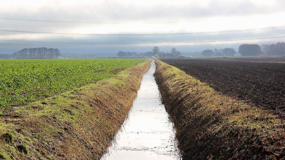 Beeld ter illustratie. Waterkwaliteit is een onderwerp waarbij samenwerking tussen de sectoren moet leiden tot innovatie en uiteindelijk verbetering.